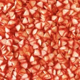 111585-9 Fruit Fimo Cane Slices Strawberry