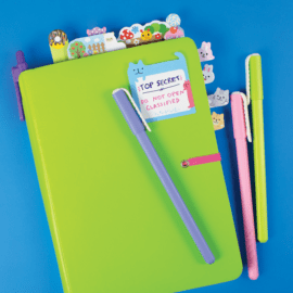 Note-Pals-Sticky-Tabs