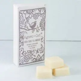 112555-2 Agnes+Cat Vegansk Soja Doftvax Seasalt & Moss 8 st 160 g