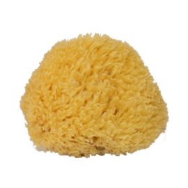112800 Natursvamp Mediterranean Sponge Small