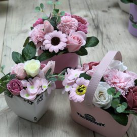Tvålblommor & Buketter