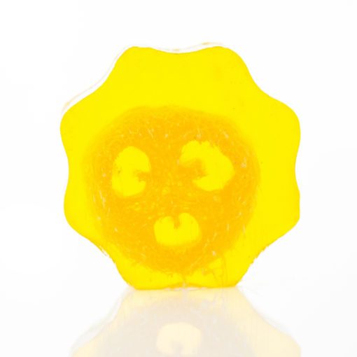 113221 Ancient Wisdom Tvål Loofah Soap - Grapefruit1