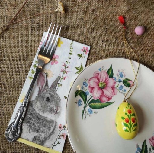 113369-1 Talking Tables Servetter Kanin 33x33 cm 20 st – Truly Bunny