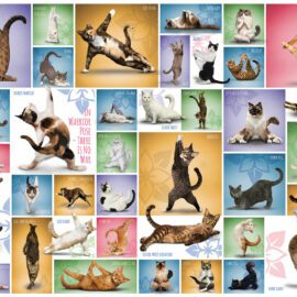 EuroGraphics Pussel Yoga Cats 1000 bitar