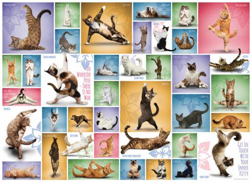 EuroGraphics Pussel Yoga Cats 1000 bitar