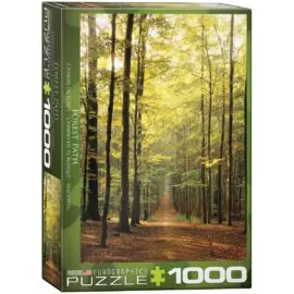 EuroGraphics Forest Path 1000 bitar