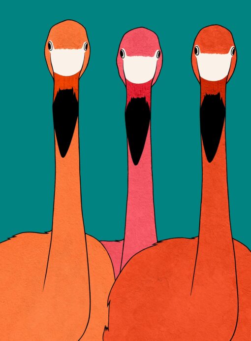 Hummingbird Australia Pussel Flamingo Trio 1000 bitar