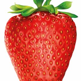 Hummingbird Australia Pussel I Like Strawberry 1000 bitar