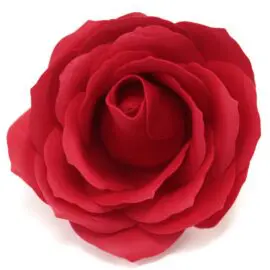 Tvålblommor Röda Rosboxen