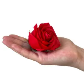 Tvålblommor Röda Rosboxen Rund (5)