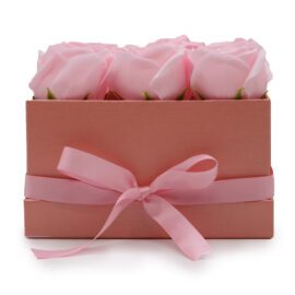 Tvålblommor Rosa Rosboxen Kvadrat