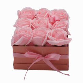 Tvålblommor Rosa Rosboxen Kvadrat