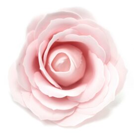 Tvålblommor Rosa Rosboxen