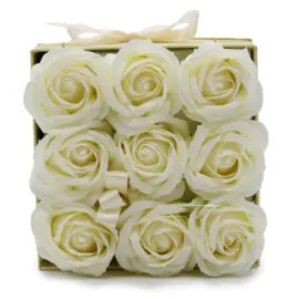 Tvålblommor Vita Rosboxen
