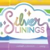 6-pack Pennor i Silvermetallic med Kontur-effekt i Tusch - Silver Linings Outline Markers